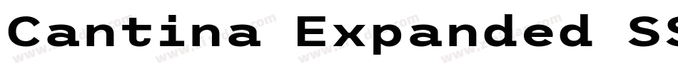Cantina Expanded SSi Semi Expanded字体转换